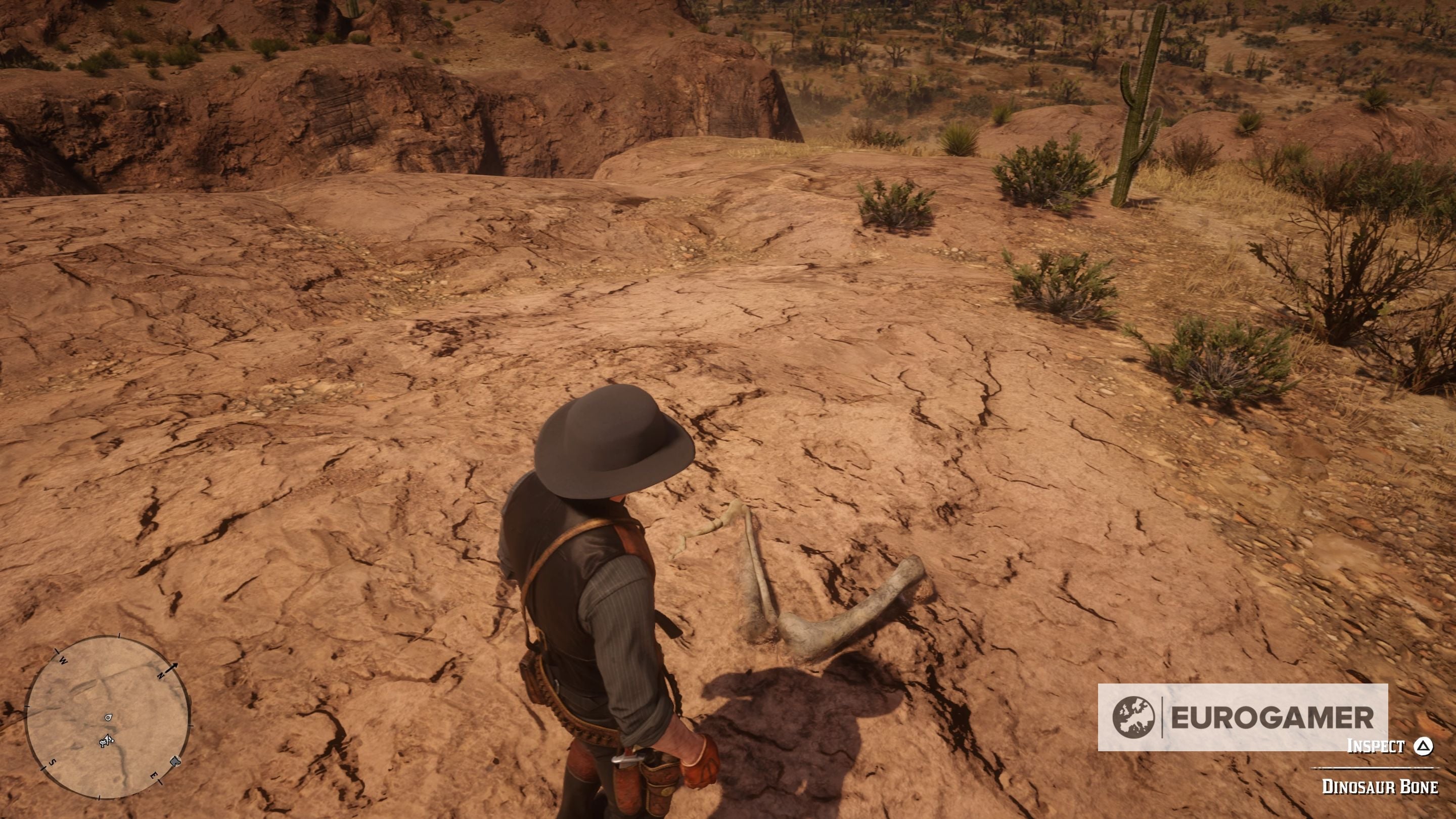 Red Dead Redemption 2 Dinosaur Bone locations
